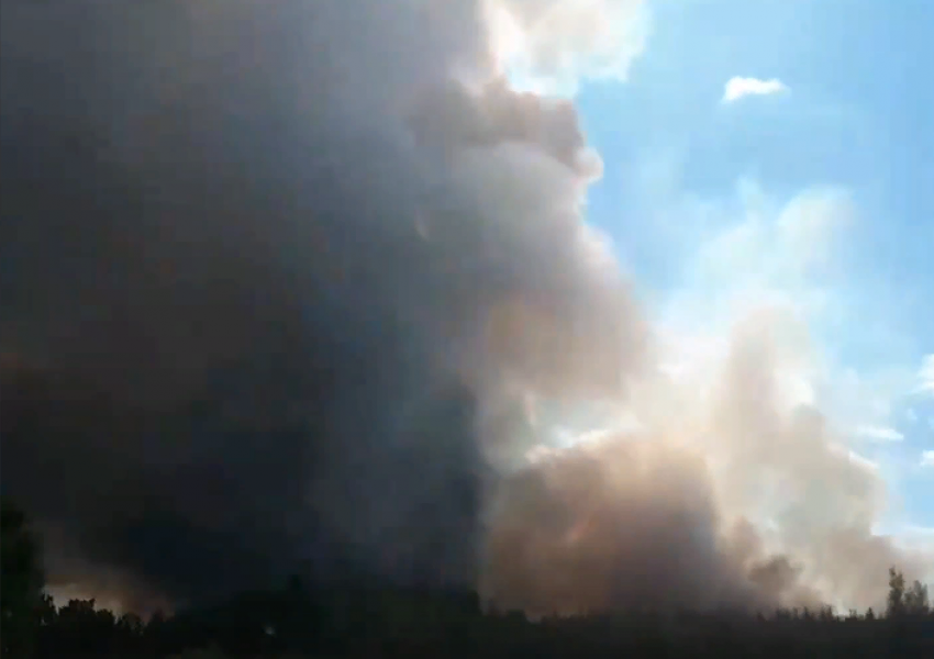 Опубликовано видео страшного лесного пожара под Борисоглебском