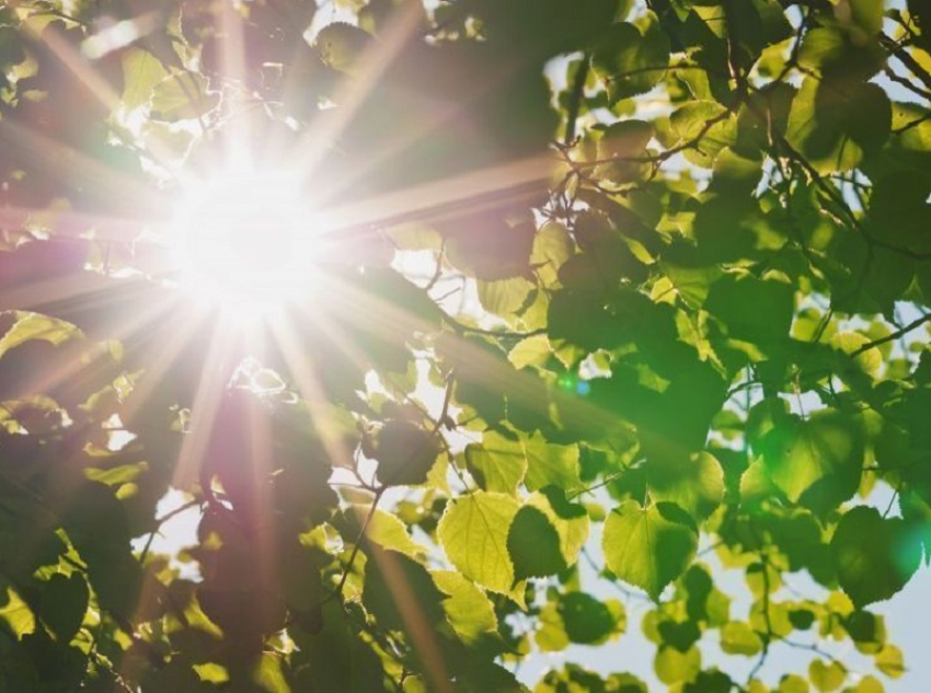 Когда летнее тепло придет в Воронежскую область рассказал главный региональный метеоролог