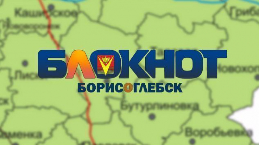«Блокнот Борисоглебска» вошел в 20-ку самых популярных новостных сайтов Воронежской области