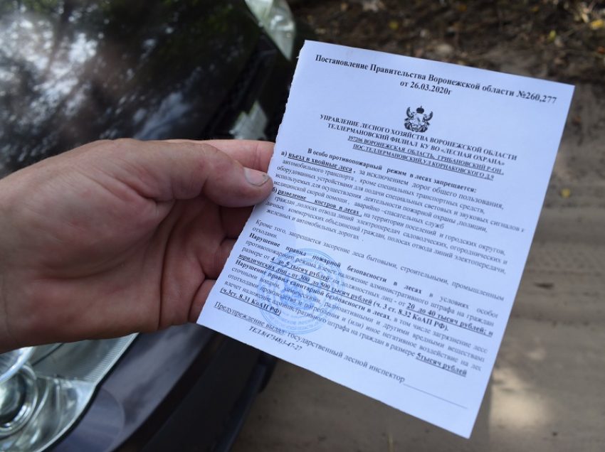 Лесничие напомнили борисоглебцам об ответственности во время особого противопожарного режима