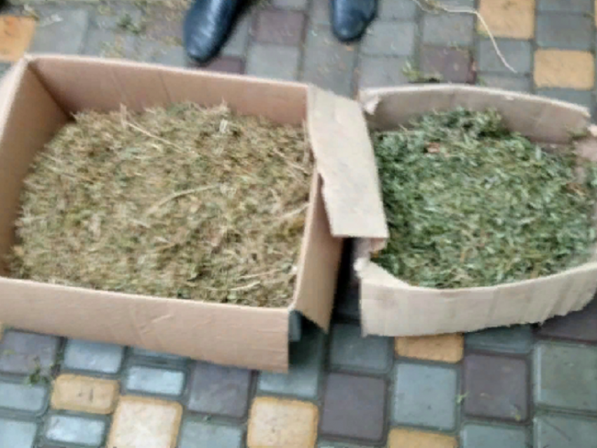 В Борисоглебске в столярной мастерской местного жителя обнаружили коробки с коноплей