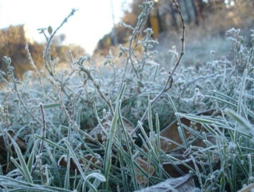 В Воронежской области объявлено штормовое предупреждение из-за заморозков