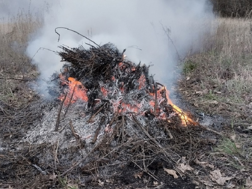 МЧС вновь начнёт патрулировать Воронежскую область беспилотниками