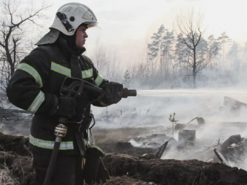 В 16 районах Воронежской области действует особый противопожарный режим