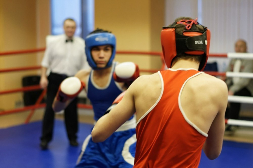 В Борисоглебске пройдет региональный турнир по боксу