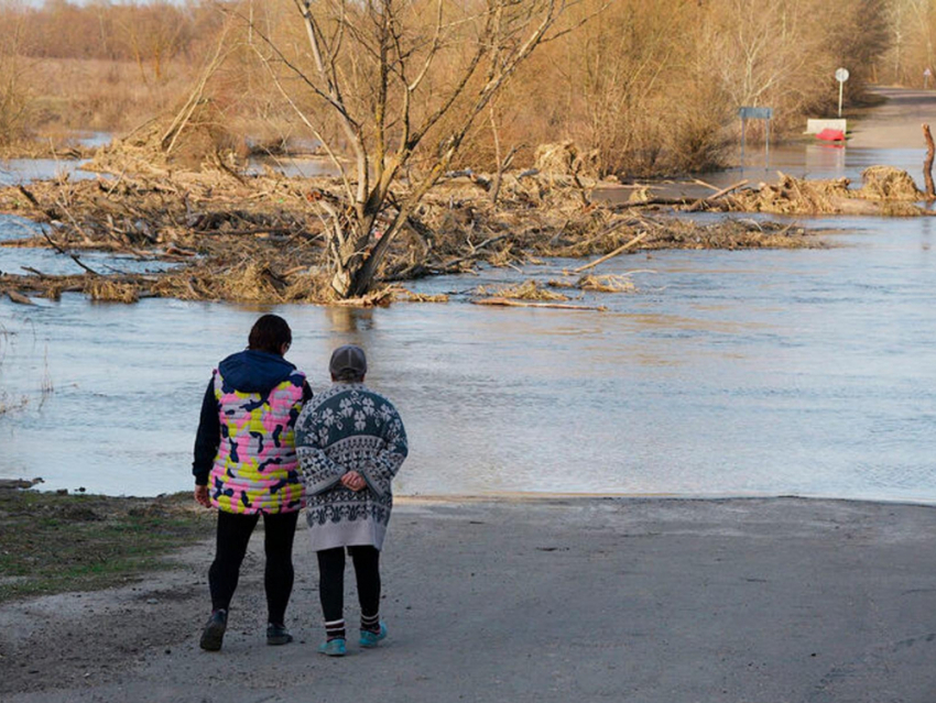 Уровень воды в Хопре и Вороне продолжает подниматься, а в Савале -понизился 