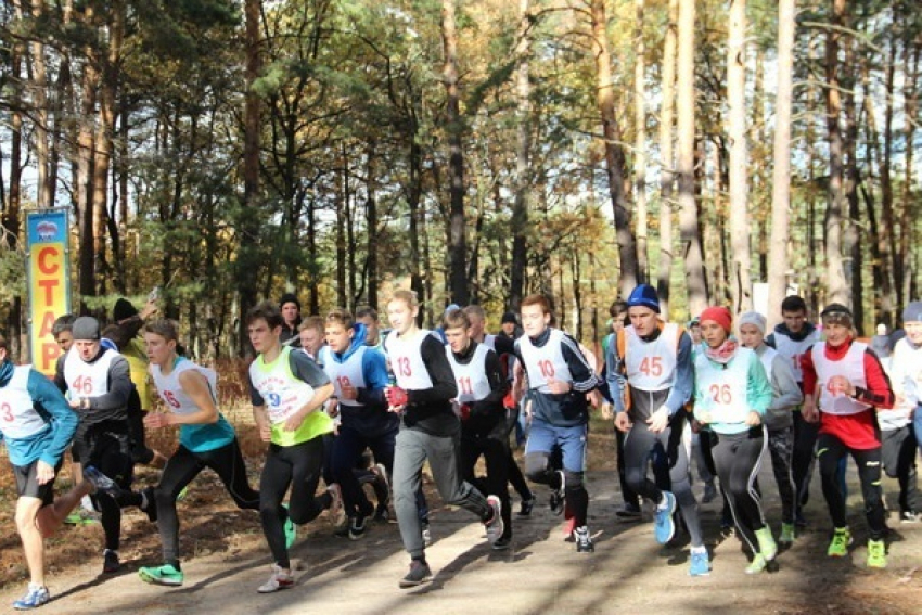 «Золотая осень» завершила легкоатлетический сезон в Борисоглебске