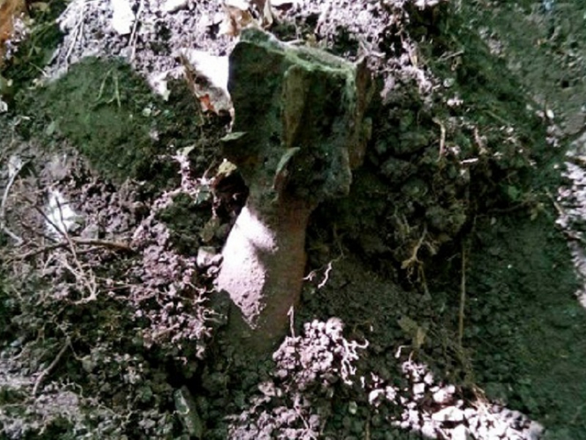 В Грибановском лесу нашли снаряд времен Великой Отечественной Войны