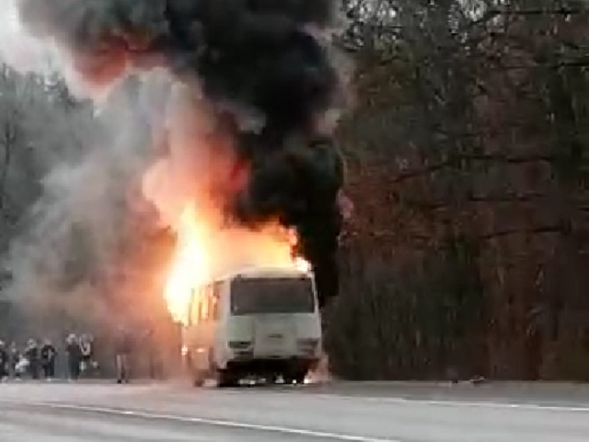 Пассажиры  «горящего» рейса «Борисоглебск- Поворино» просят премировать водителя  за профессионализм 