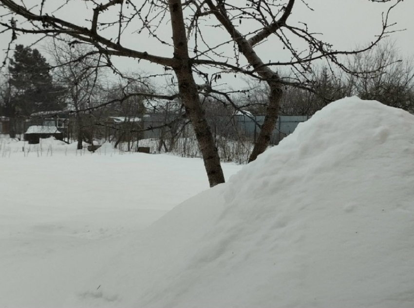 В Борисоглебском округе выпало самое большое количество снега среди районов региона