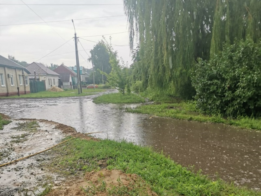 Чего ожидать борисоглебцам от погоды в ближайшие дни