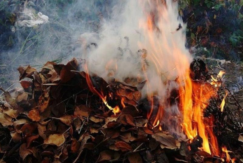 Жителей Воронежской области штрафуют за разведение осенних  костров