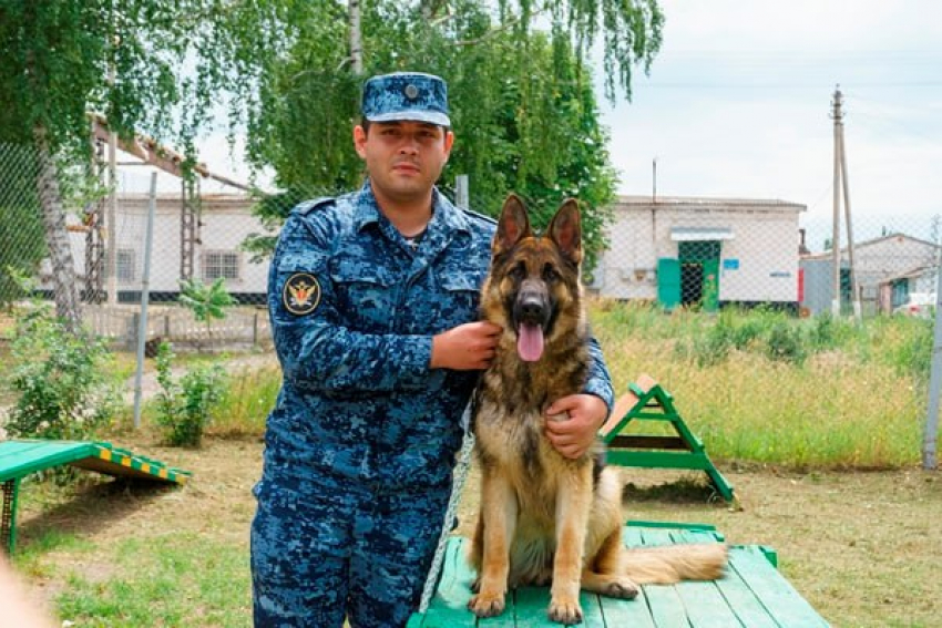 Кинолог из Борисоглебской колонии спас тонущего мужчину