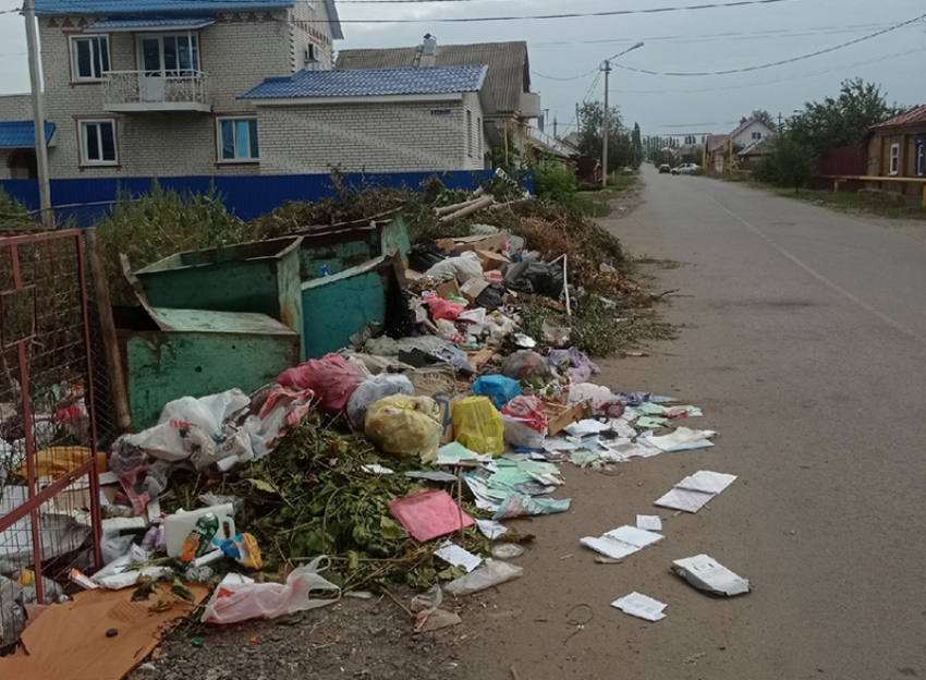  Борисоглебск безнадёжно отстал от соседей даже  в качестве  мусорных контейнеров 
