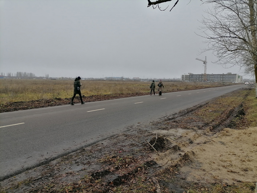 Родители пожаловались  «Блокноту» на  «четко выстроенную систему автобусного сообщения» до новой школы г.Борисоглебска 