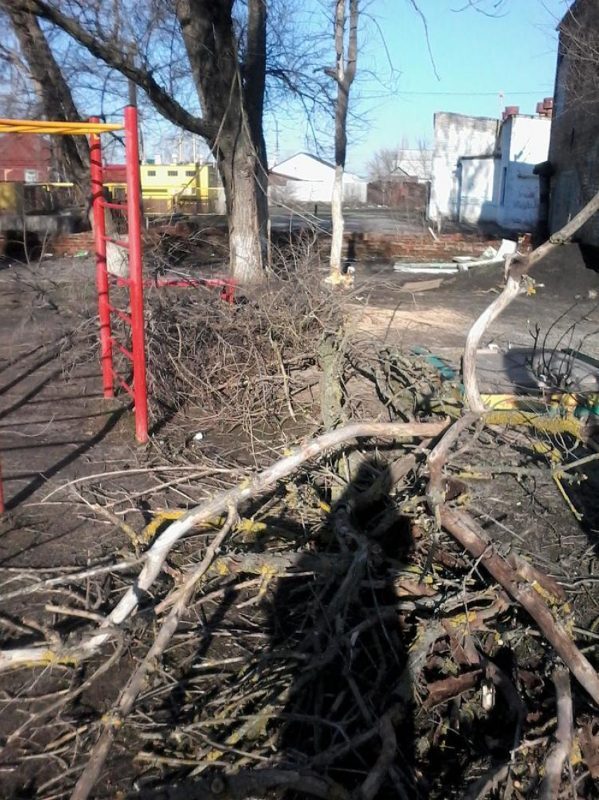 Ураганный ветер в Борисоглебске повалил с десяток деревьев и оторвал лист кровли с  крыши музыкального училища