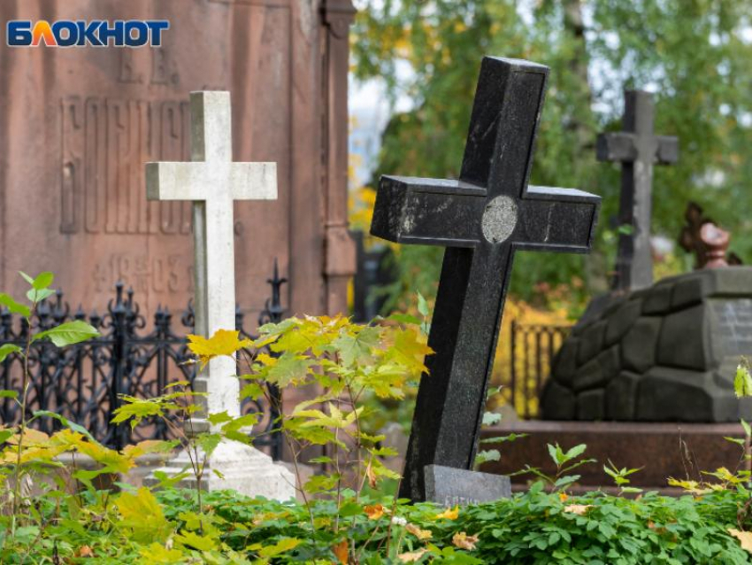 Более 10 тысяч человек потеряла с начала года Воронежская область