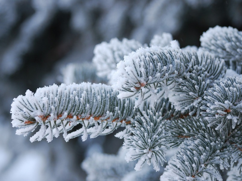 Штормовое предупреждение объявили в Воронежской области из-за морозов