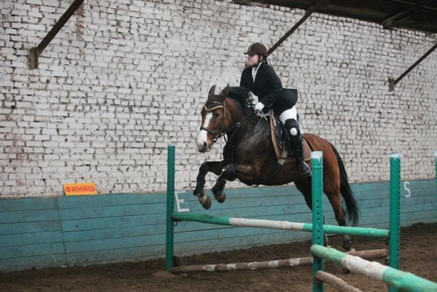 В Борисоглебске прошли соревнования по конному спорту