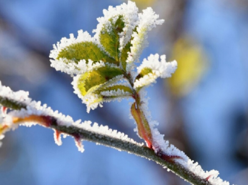 Синоптики рассказали, когда в Воронежскую область придут первые заморозки
