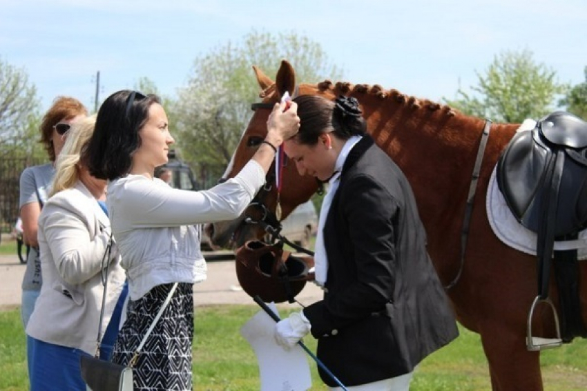 Открытое Первенство округа по конному спорту прошло в Борисоглебске