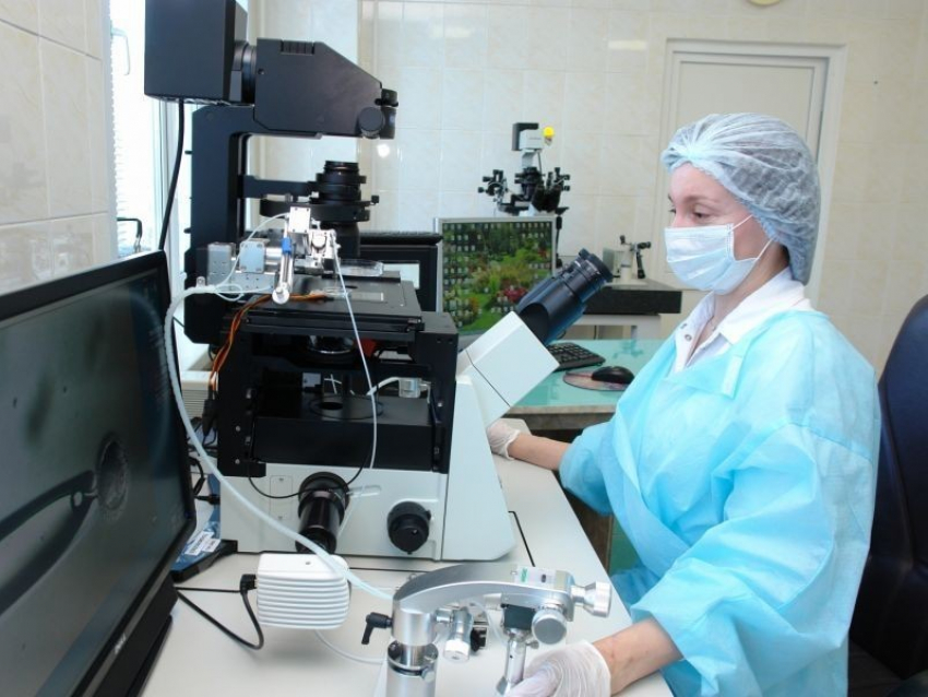 В Воронежской области через искусственное оплодотворение за полгода родилось 172 малыша