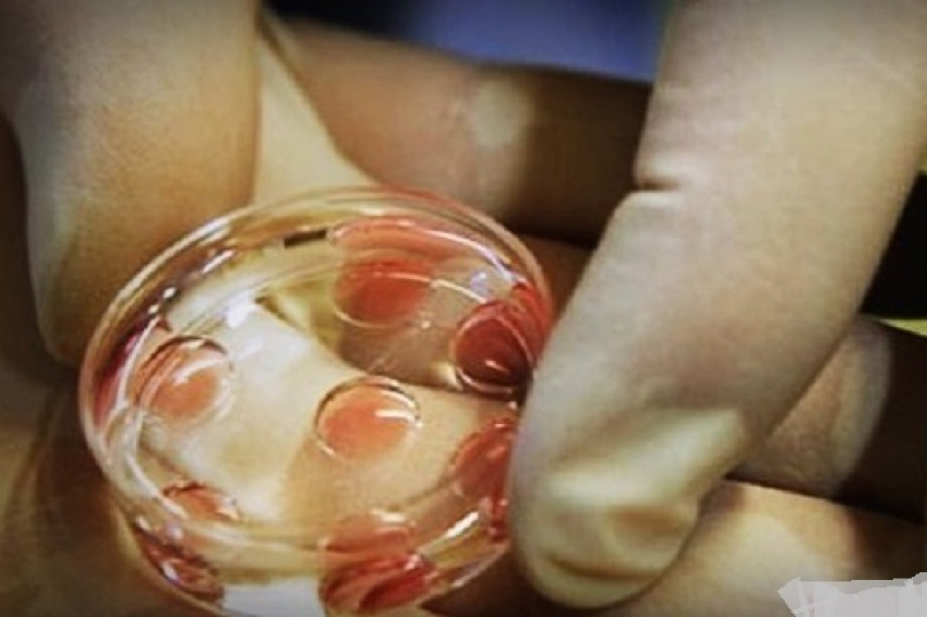 В прошлом году в Воронежской области процедуру ЭКО прошло 879 женщин