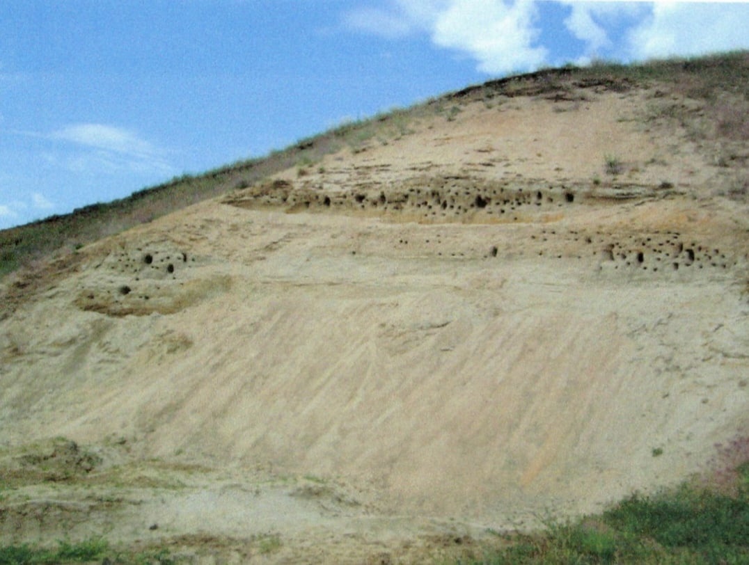 Село Горелка Борисоглебского округа посещали инопланетяне?