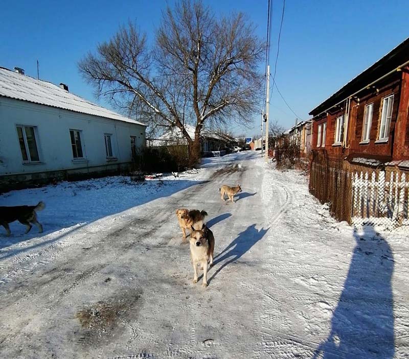 Анапчане завоевали командный кубок по мотокроссу, который проходил в Чембурке