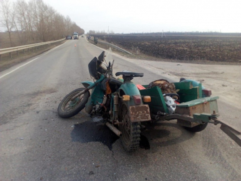 novoh11-392xx294.jpg
