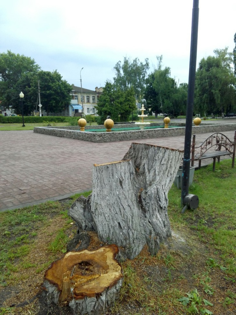 ива 3.jpg